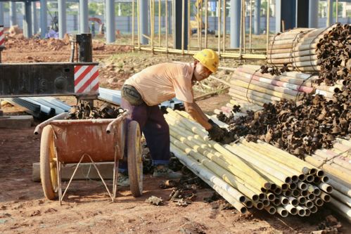 遂寧高新區西部鐵路物流園 錯時施工巧避高溫，安全進度雙贏并舉
